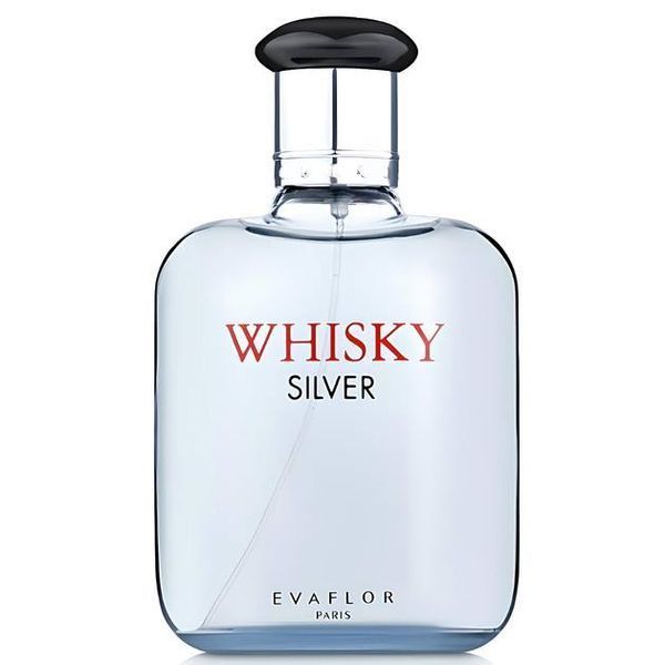 Парфумована вода чоловіча Evaflor Whisky Silver, 100 мл 2123 фото