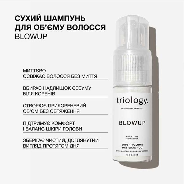 Сухий шампунь для об'єму волосся Blowup Triology 18 g 2298 фото