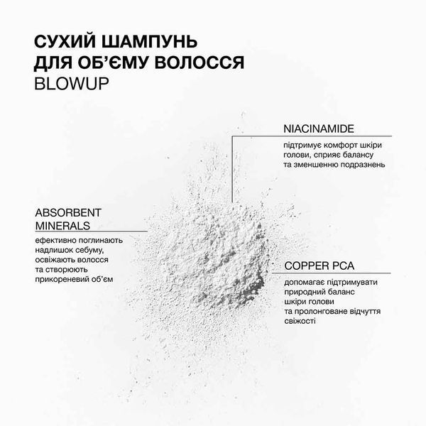 Сухий шампунь для об'єму волосся Blowup Triology 18 g 2298 фото